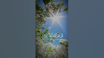 🌙 Surah Al-Ikhlas – The Purity of Faith and Oneness of Allah Light of Peace #سوره اخلاص