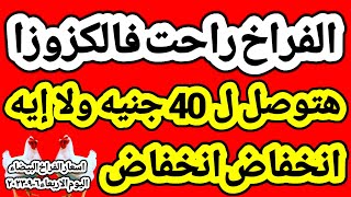 اسعار الفراخ البيضاء اليوم/ سعر الفراخ البيضاء اليوم الاربعاء ٦-٩-٢٠٢٣ في مصر