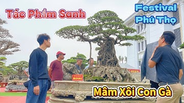 Ngắm kiệt tác Mâm Xôi Con Gà sau 15 năm trở lại tại FESTIVAL SVC PHÚ THỌ 2025 