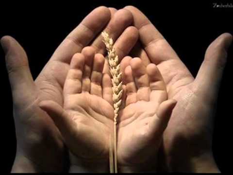 الله اكبر كبيرا   