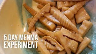 Can you Make Real Menma at Home? (testing out a Japanese recipe)