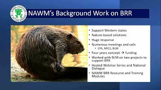 Brenda Zollitsch - A National Dialogue on Beaver-Related Restoration