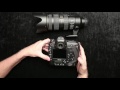 Nikon D5 Burst Mode Demo & Features Tour