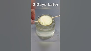 Regrow A New Onion From A Slice 🧅🌱- Part 1 #gardening #experiment