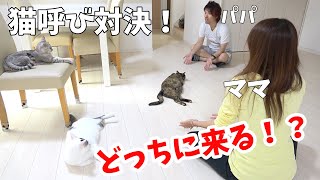 パパとママが猫4匹を呼んだらどっちに来るのか勝負してみた結果…ｗ