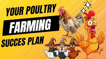How to Start a Poultry Farming Business | Complete Poultry Farm Guide