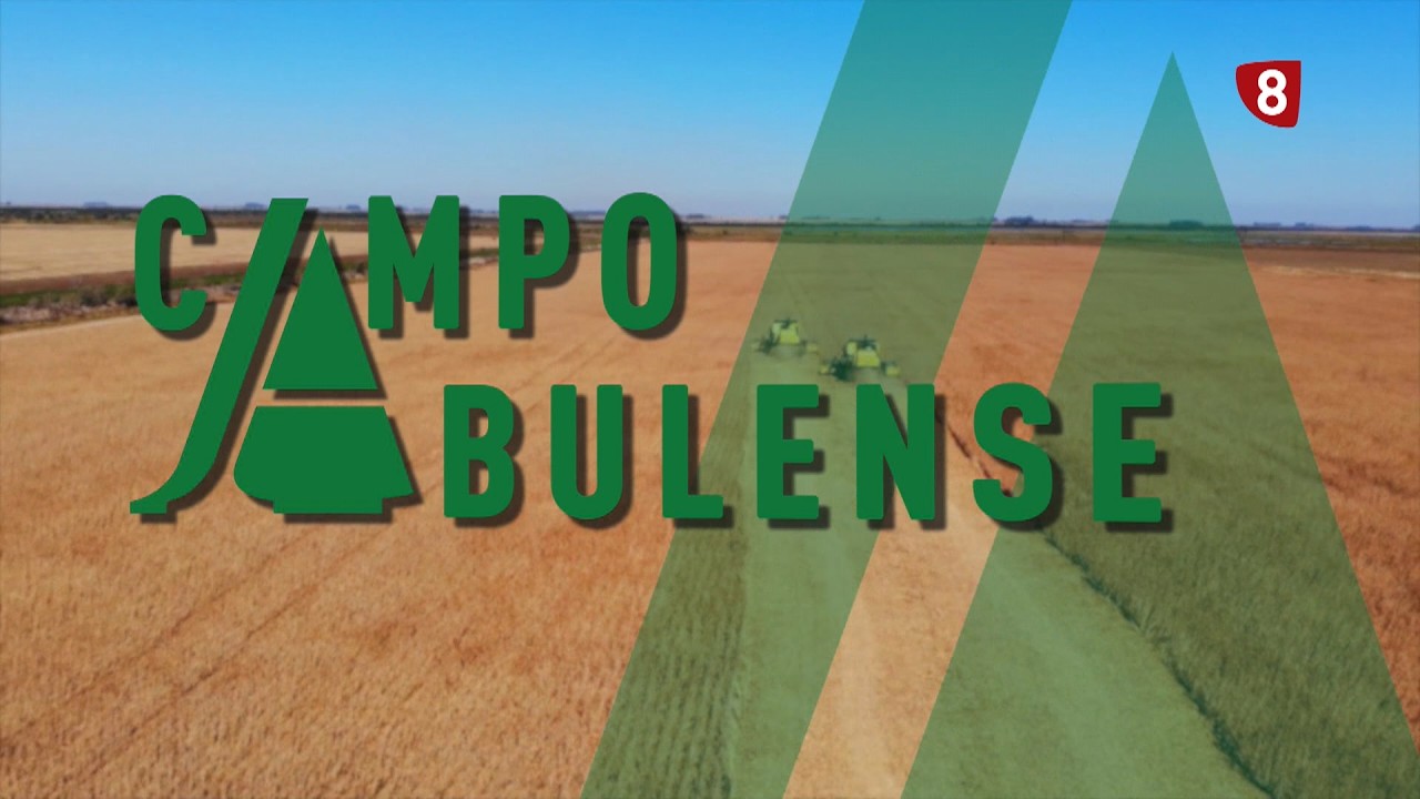 CAMPO ABULENSE 28-05-2026
