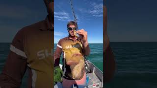 How to catch Tuskfish! #shorts #fishing #tuskfish #sharkbay
