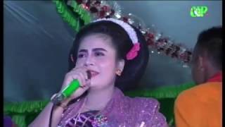 TAYUB TUBAN/BOJO WAYOHAN DI KICIR KICIR