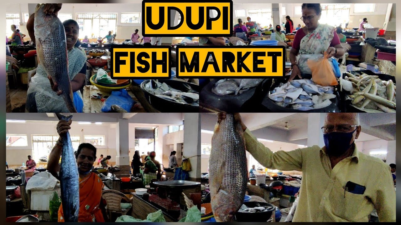 Namma Udupi Fish Market SeaFood Hub YouTube