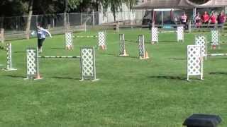 Pixie - Canada Cup 2014