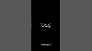 سورة القصص | محمد صديق المنشاوي