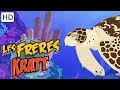 Les Frères Kratt 🐸  Créatures Sous-marines Inattendues 🐢 | Vidéos pour Enfants