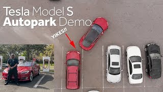 tesla model s autopark demo