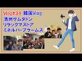 Vlog#34【韓国Vlog：済州サムダドン・リラックマストア・ミネルバ・ブラームス】한국 Vlog : 제주・삼다동・리락쿠마스토어・미네르바・브람스