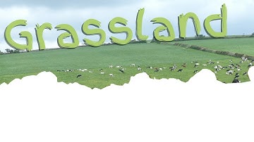 Our Living Landscape: Grassland Introduction