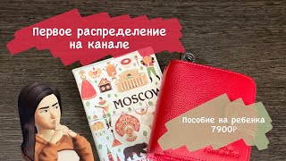 #1 РАСПРЕДЕЛЕНИЕ БЮДЖЕТА НА КАНАЛЕ🥳Пособие 7900 на сына!