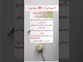 Hazrat Muhammad ﷺ Ne Farmaya - Urdu Hadith - Motivation Hour #Shorts #quotes #trending