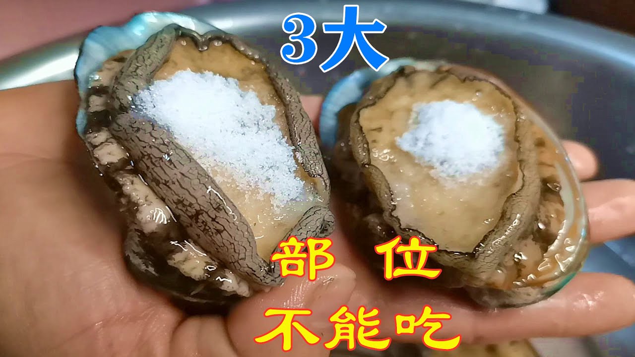 《竅門-處理新鮮鮑魚》鮑魚鮮甜美味 😋營養豐富 🫁 抗癌食品 💪🏻鮑魚殼清肝明目 👀千祈唔好嘥💵 How to handle fresh Abalones