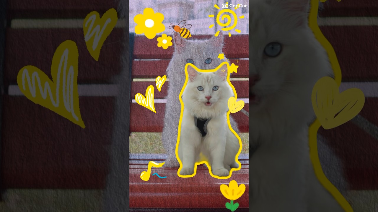 Cute edit! - YouTube
