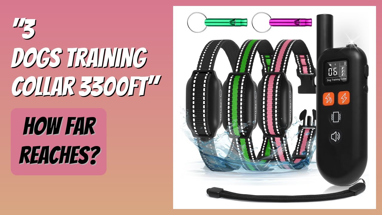 REVIEW (2025): "3 Dogs Training Collar 3300FT". Features