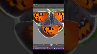 A Small Copper butterfly ❤️♥️🧡 #vgen #wip #timelapse #arttimelapse #drawingtimelapse