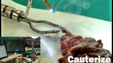 Robotic NOTES System / Flexible Endoscopic Surgery Robot