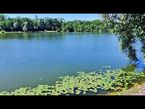 Video: Bad Radkersburg kuvaus ja valokuvat - Itävalta: Steiermark