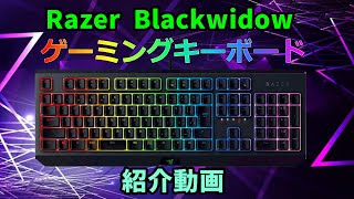 Razer Blackwidow Green Switch 日本語配列 ゲーミングキーボード紹介動画