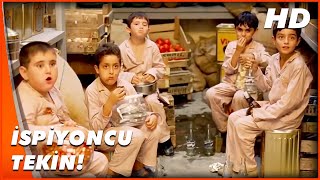 Maskeli Beşlerin Çocukluk Günleri Maskeli Beşler: İntikam Peşinde Resimi