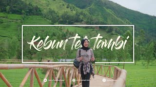 Wisata Hits Terbaru di Tambi Wonosobo dan Wapit Temanggung