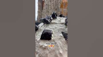 Biggest Icecream 😳 #icecream #shorts #song #party #music #youtubeshorts #viral