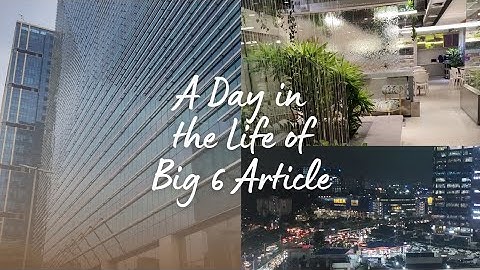 A Day in the life Of big 6 Article | CA Articleship | Big 6 | #icai #caarticleship #vlog 