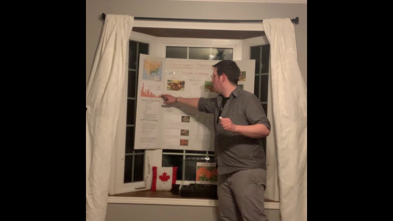 Science Fair Project: Monarch Butterfly - YouTube