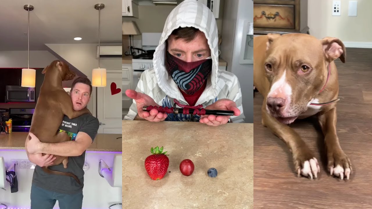 Funny Robby and Penny Tik Tok 2022 New Robby and Penny TikTok YouTube