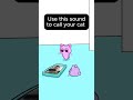 Use this Sound to Call Your Cat 🐈