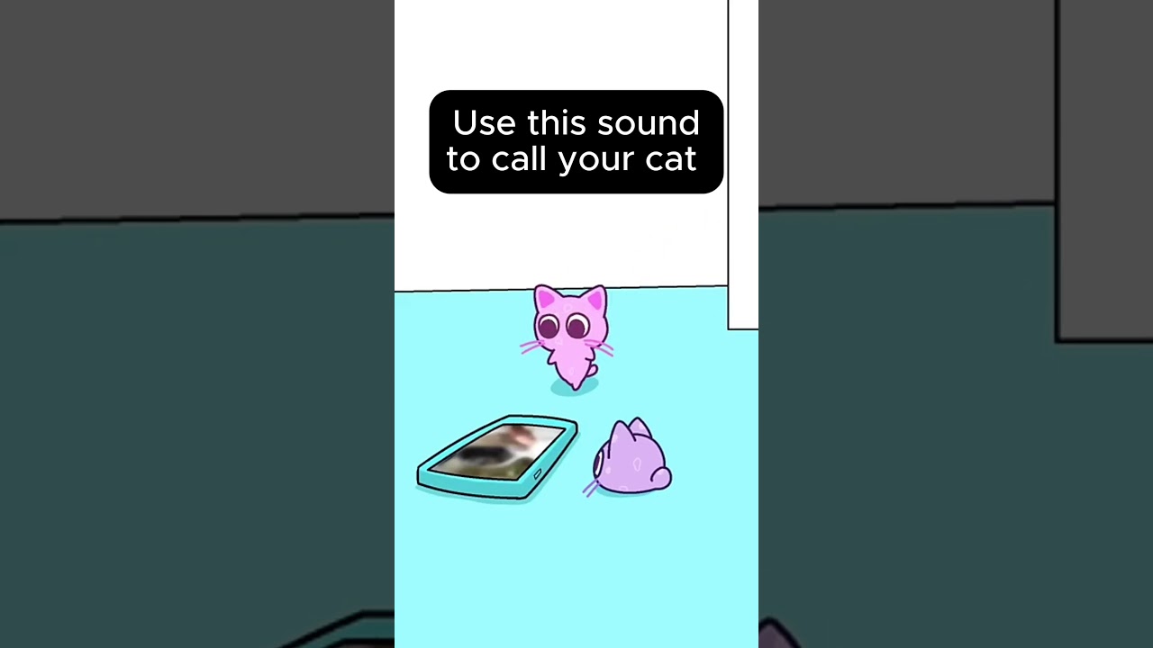 Use this Sound to Call Your Cat 🐈