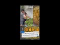 আমেরিকার বাড়ির উঠোনের পুদিনা ব্যবহার করে নিরামিষ পুদিনা বিরিয়ানি বানাচ্ছি | Mint rice Biryani