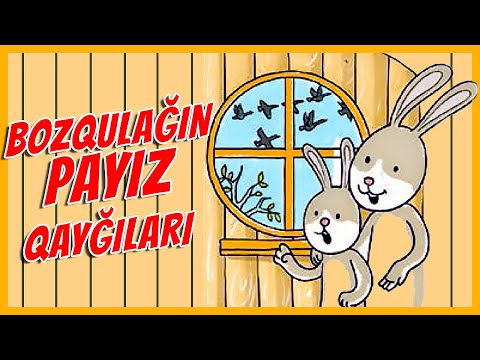 Video: Toy şampan etiketləri hazırlayın