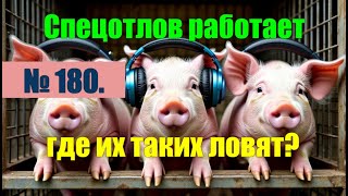 видео: № 180. Опять попались тупые экземпляры. Спецотлов работает чётко.#антимошенники #аферисты картинка: № 180. Опять попались тупые экземпляры. Спецотлов работает чётко.#антимошенники #аферисты
