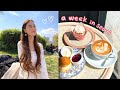 vlog • banana muffins, oat latte, hongdae stationary shops, dyeing my hair, new colored lenses ☁️