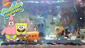 BOB ESPONJA ACUARIO FONDO DE BIKINI, (SPONGEBOB THEMED BIKINI BOTTOM AQUARIUM )