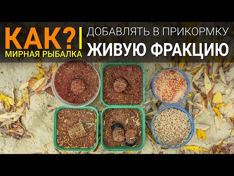 Как добавлять живую фракцию в прикормку? Рыбалка на фидер.