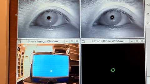eyetracking demo