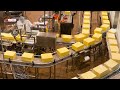 How cheddar cheese is madedelicious  amazing process of making cheddar cheese