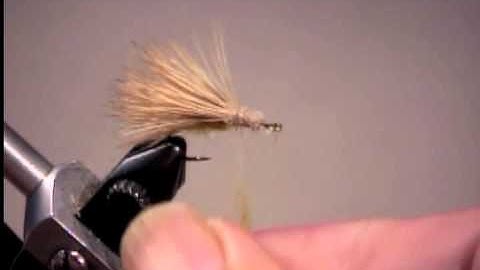 Ed Ruckey Mikulak Sedge