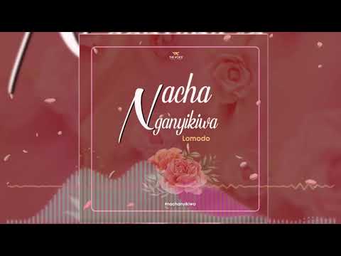 Lomodo - Nachanganyikiwa (Official Audio)