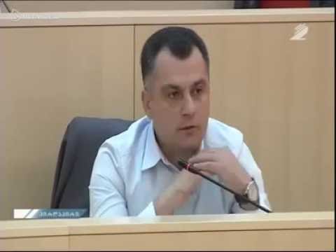 ტარიელ ლონდარიძის გამოსვლა პარლამენტში პლენარულ სხდომაზე