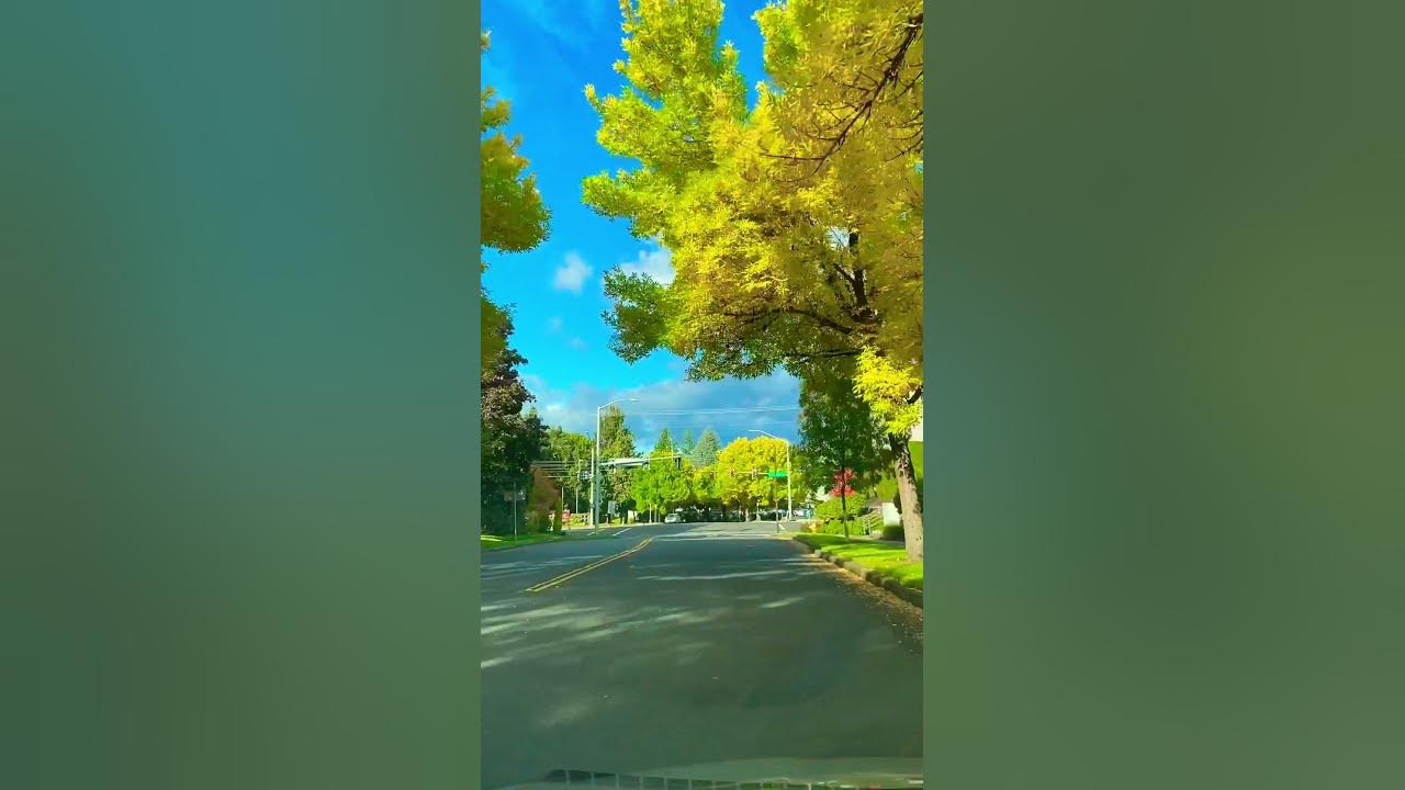 Fall season in usa fallcolortrends usa desi youtube
