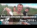 Астраханские зарисовки. Лето 2018 г.